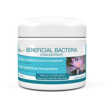 Beneficial Bacteria Concentrate - 125 g - $19.34
