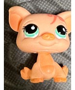 Littlest Pet Shop Pig 998 Messiest Swirl Peach #998 Hog Cake Topper Hasb... - $25.10