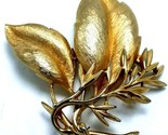 Signed Sarah Coventry Vintage Gold Tone Leaf Brooch Pin 3&quot; x 2 3/4&quot; - £7.06 GBP