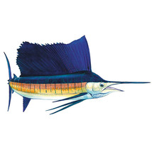 Contoured Sailfish Sticker - $32.94