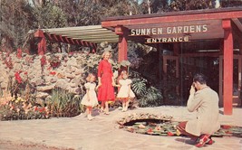 St Petersburg Florida Fl~Sunken Gardens ENTRANCE-MAN-CAMERA-PHOTO~1960 Postcard - £8.42 GBP