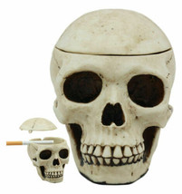 Day of The Dead Ossuary Human Skull Ashtray Statue Skeleton Cranium Jewe... - $21.99