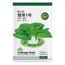 Jingyan® Dwarf No.1 Cabbage 5 grams Seeds FRESH SEEDS - £4.78 GBP
