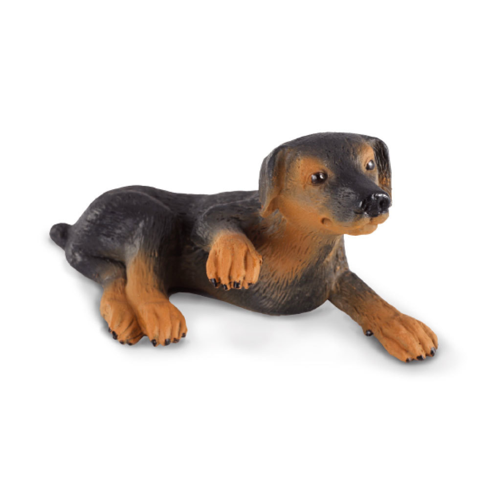 Primary image for CollectA Doberman Pinscher Puppy Figure (Small)