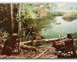 Americana Beaver Naturale Storia Museo Chicago Il Unp Cromo Cartolina U25 - £2.38 GBP