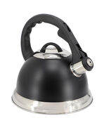 Mr. Coffee Clarefield 2.4 Quart Stainless Steel Whistling Tea Kettle in ... - €41,45 EUR