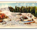 Cleopatra Terracce Yellowstone National Park WY UNP Linen Postcard N25 - £1.55 GBP