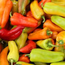 Vpescub a cubanelle sweet pepper seeds thumb200