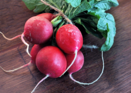 100 Pc Seeds Scarlet Globe Radish Plant, Radish Vegetable Seeds for Planting |RK - £14.84 GBP