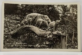 RPPC Elephants at the Bernheimer Residence Japanese Gardens Real Pic Postcard G9 - £12.67 GBP