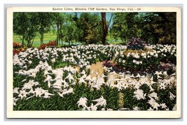 Easter Lilies Mission Cliff Gardens San Diego California CA UNP WB Postcard U7 - £2.86 GBP