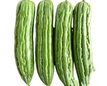 5 Green Skin Bitter Melon Bitter Gourd Seeds Fast Shipping Fast Shipping - £7.20 GBP