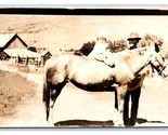 RPPC Baby Riding Horse w Papa Named Suject Marley Phillips Jr &amp; Sr Postc... - $6.88