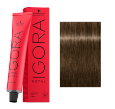 Schwarzkopf IGORA ROYAL Hair Color - 6-0 Dark Blonde Natural