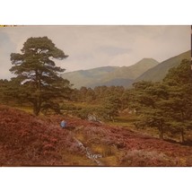 J. Arthur Dixon Glen Affric Scotland Landscape Vintage Postcard - £9.13 GBP