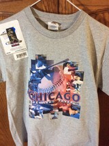Chicago Cubs Mlb Pennant Fever 2008 Gray Tee / T-shirt Youth L / Large 14/16 - £7.20 GBP