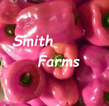 HSeeds 25+ Seeds Pink Bell Peppers Sweet Garden Fresh Healthy Planting - $6.95