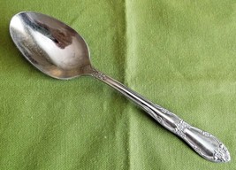 Oneida Ltd  William A. Rogers Stainless Daydream/Fenway Soup Spoon 72646  6.50&quot;  - £4.66 GBP