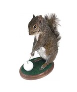 Golfing Squirrel Taxidermy Mounted Animal Statue - €341,01 EUR Golfing Squirrel Taxidermy Mounted Animal Statue - €341,01 EUR