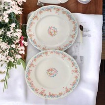 2 Limoges Bassett Plates Set Floral Side Bread Salad Pink Blue Porcelain Antique - £22.53 GBP