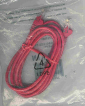 Internet Cat5 RJ45M 5 ft  Cat5 Network Lan Ethernet Internet Patch Cable - €6,39 EUR