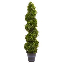 Boxwood Spiral Topiary with Planter - $169.41