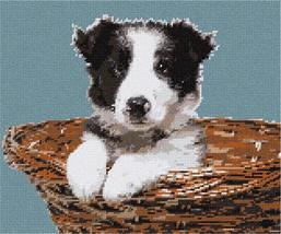 Pepita Needlepoint kit: Collie in Basket, 12&quot; x 10&quot; - £67.23 GBP+