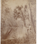 Tropical Scene on Oklawaha River Florida Stereoview Photo - $281.73 MXN