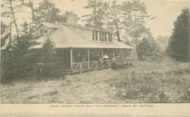 C-1910 Michigan Grand Island Forest Trout Bay Postcard 20-3493 - $5.27