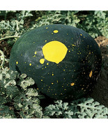 MBK Moon &amp; Stars Watermelon Seeds Non-Gmo Seed Store 1042 Bulk Seeds - $201.58 MXN