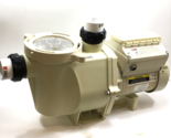 Pentair Water Pool and Spa  011017 3HP Variable Speed Pump 230 V 1 Ph us... - $900.00