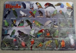 Vintage 2009 Rushkin BIR-1 Popular Birds Painless Learning Placemat - $13.71