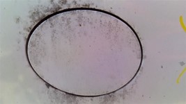 MAZDA 5   2006 Fuel Filler Door 1036645961 - $39.81