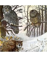 Gray Snowy Great Horned Owls 1955 Plate Print Birds Of America Nature Ar... - €29,61 EUR
