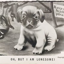 Antique V Colby 1909 Lonely Sad Dog Postcard Oh, But I Am Lonesome! - £6.75 GBP