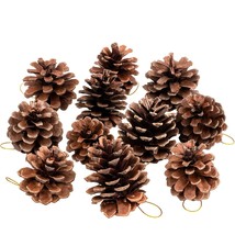 25 Pcs Christmas Natural Pine Cones, Rustic Pinecones Bulk Ornaments With String - £22.18 GBP