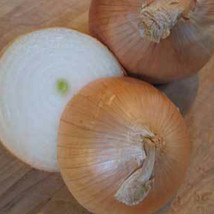 Ship From Us Yellow Sweet Spanish Onion Seeds ~8 Oz Packet Seeds - NON-GMO TM11 - £78.86 GBP