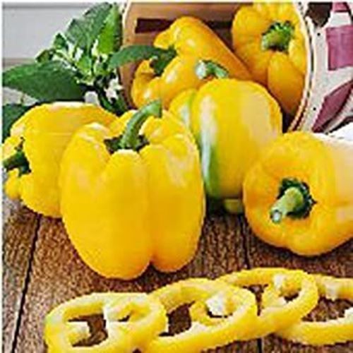 PM Yellow Belle II Sweet Peppers Seeds (20+ Seeds) | Non GMO | Vegetable... - $2.98