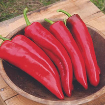 BS Numex Joe E Parker  Pepper Seeds 2000 Shu Heirloom Garden Seeds Fast ... - $167.80 MXN