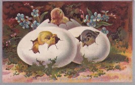 Wishing You Easter Joy Chicks Eggs Postcard A31 - £2.39 GBP