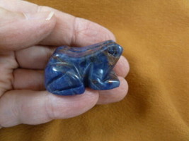 (Y-FRO-558) blue gray sodalite FROG stone gemstone CARVING figurine I lo... - $14.01