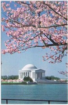 District Of Columbia Postcard Washington Jefferson Memorial Cherry Blossom - £2.31 GBP