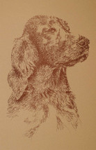 Irish Setter Dog Art Portrait Print #29 Kline adds dog name free. WORD D... - £39.47 GBP