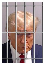 President Donald Trump Mugshot Behind Bars In Jail 4X6 Photo Reprint - £6.26 GBP