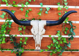 Large 27&quot;W Longhorn Cow Skull Wall Hanging Sculpture Plaque Wild Bull St... - $74.99