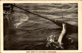 Wisconsin Hatfield Lake Arbutus Fishing - Vintage 1950 Postcard BK53 - £3.89 GBP