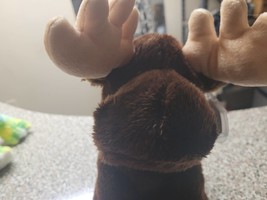 Ty Beanie Buddies Zeus The Plushy Brown Moose With White Antlers And Ora... - $29.99