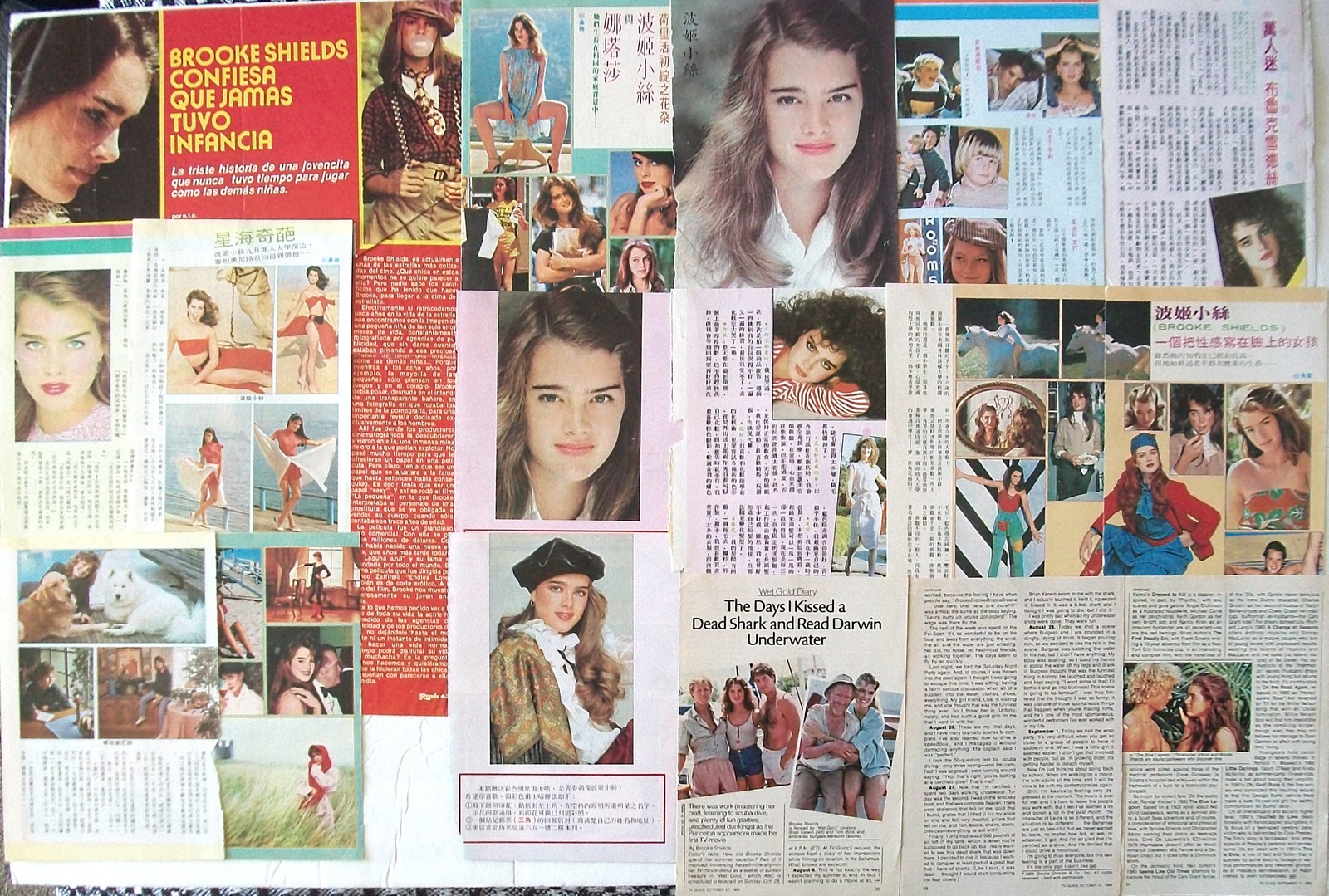 Primary image for BROOKE SHEILDS ~ Twenty-Eight (28) Color ARTICLES from 1978-1984 ~ Clippings