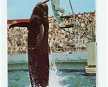 Marineland of the Pacific Brochure California Coast 1966 - $17.82