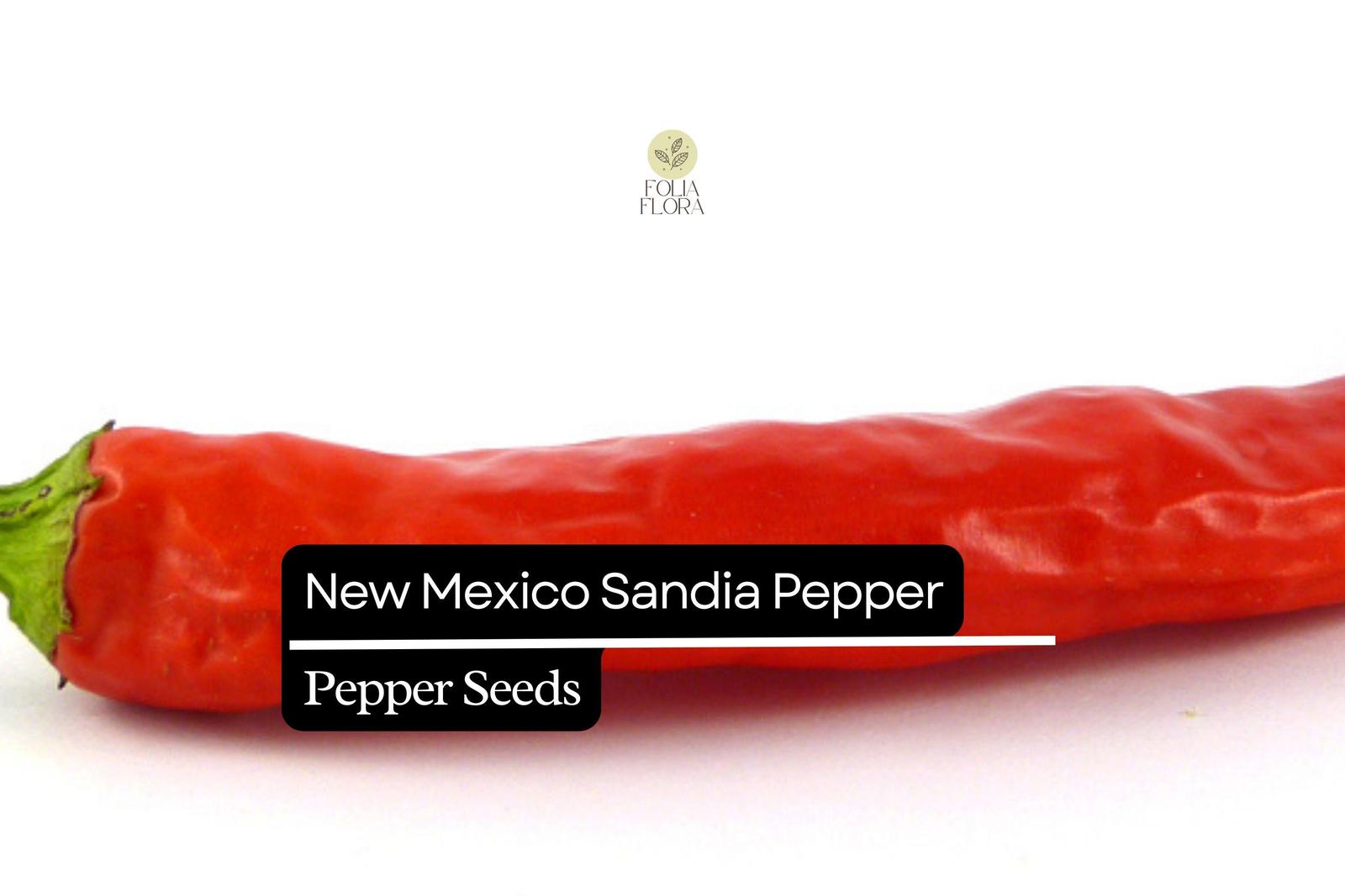 25 New Mexico Sandia Pepper Seeds – Capsicum annuum – Mild to Medium Hea... - $5.14